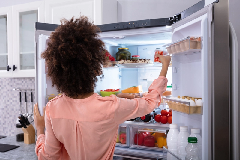 5 Best Refrigerator Brands For Your Home [Liebherr, Bosch, Neff & More]